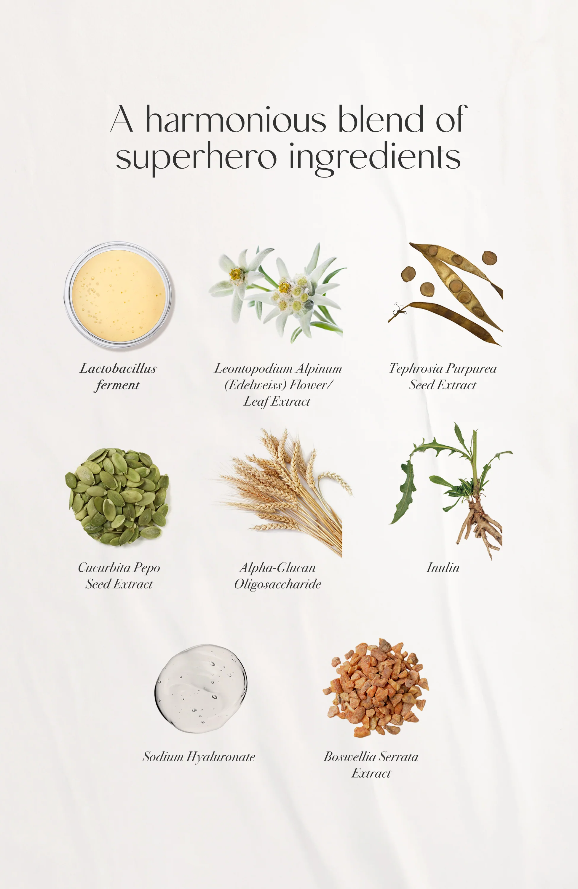 Baby Buddha Calming Serum - Image 3